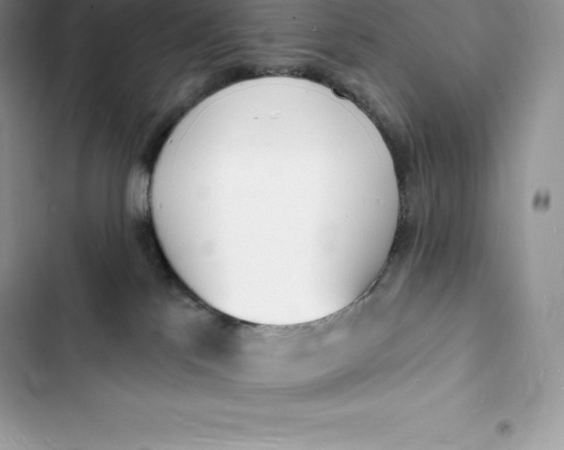 X0000103300041200809191904