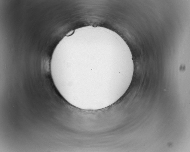 X0000103300042200809191904