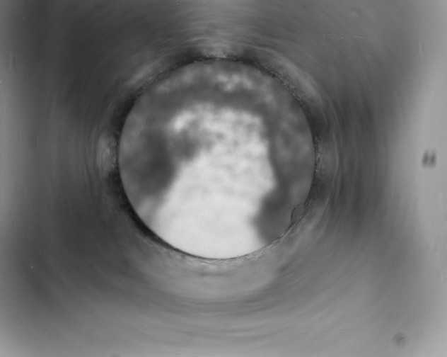 X0000103300043200809191904