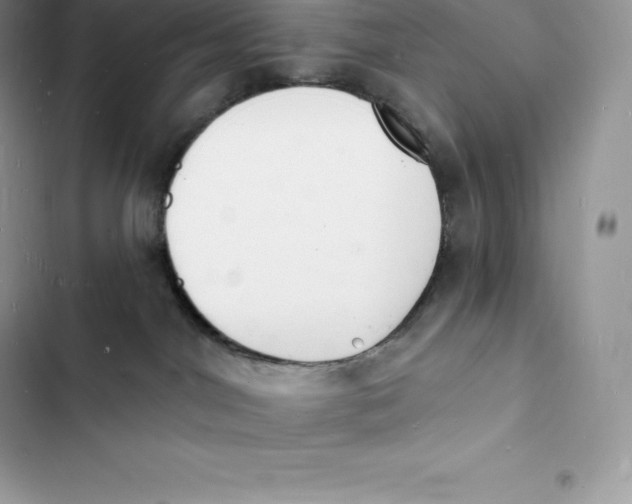 X0000103300044200809191904