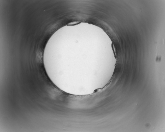 X0000103300045200809191904