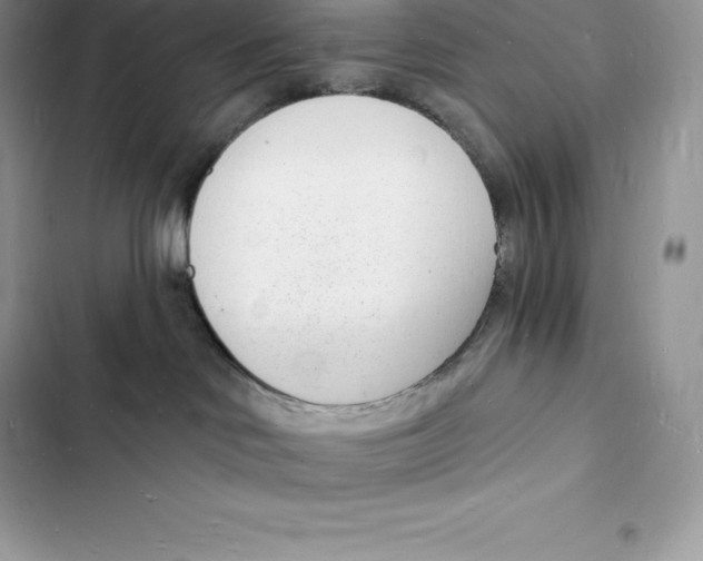 X0000103300046200809191904