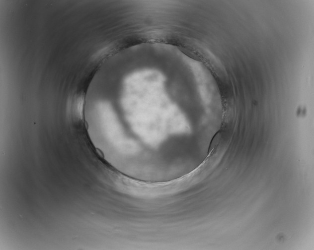 X0000103300047200809191904