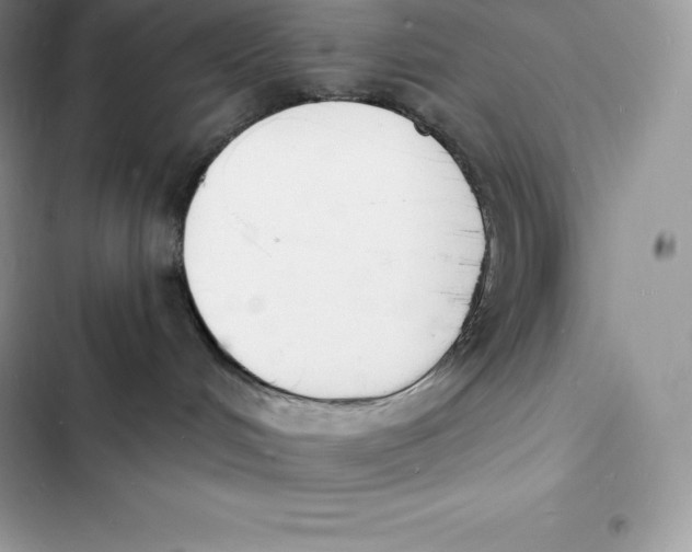 X0000103300048200809191904