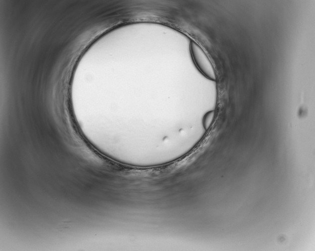 X0000103300049200809191904