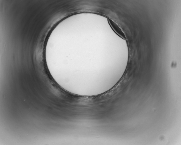 X0000103300050200809191904