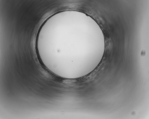 X0000103300051200809191904