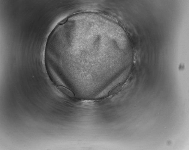 X0000103300052200809191904