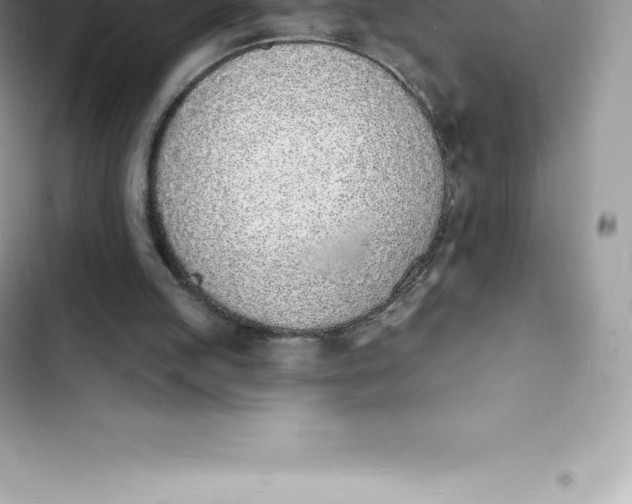 X0000103300053200809191904