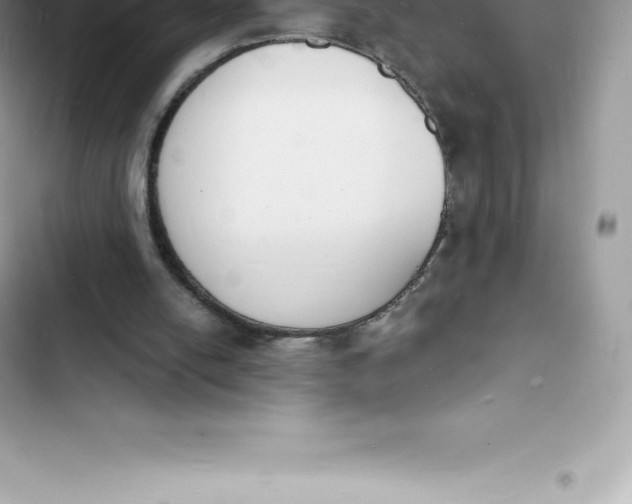 X0000103300054200809191904