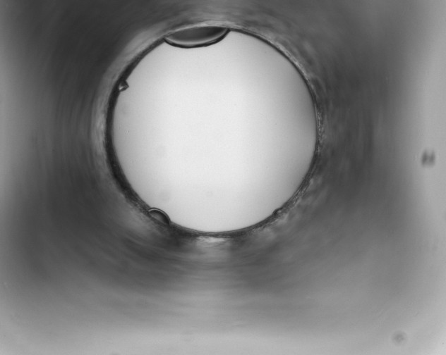 X0000103300055200809191904