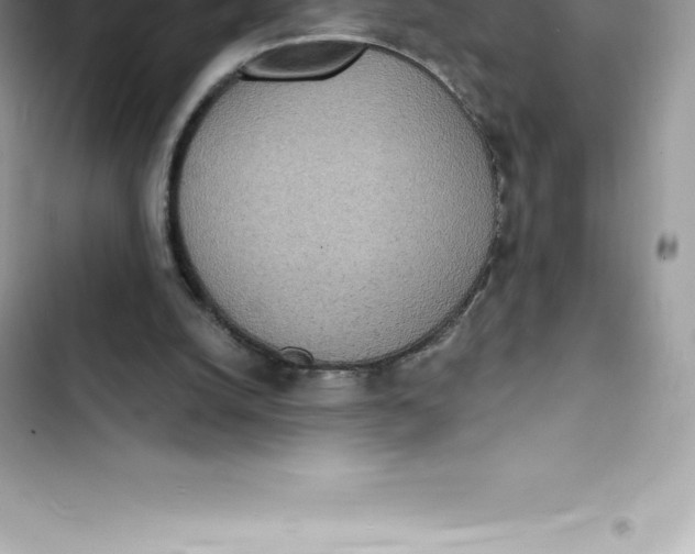 X0000103300056200809191904