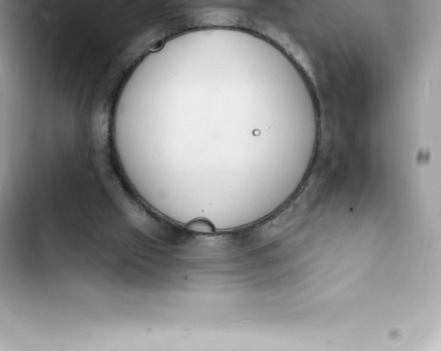 X0000103300057200809191904