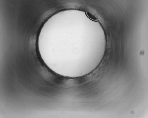 X0000103300058200809191904