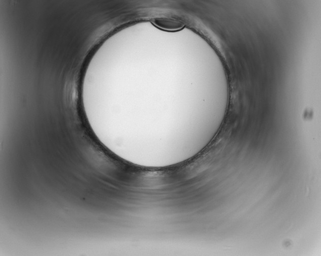 X0000103300059200809191904