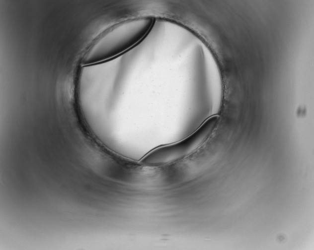 X0000103300060200809191904