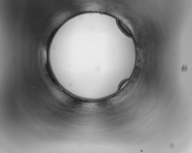 X0000103300061200809191904