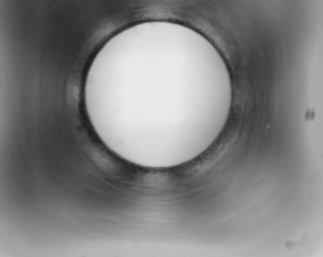 X0000103300063200809191904