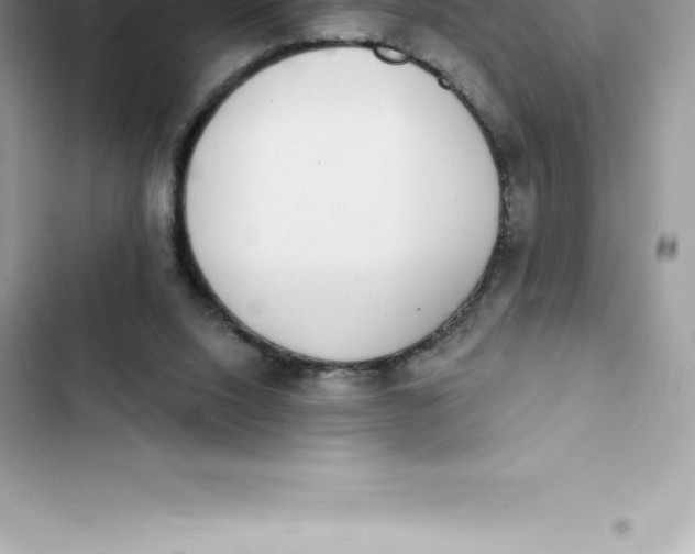 X0000103300064200809191904