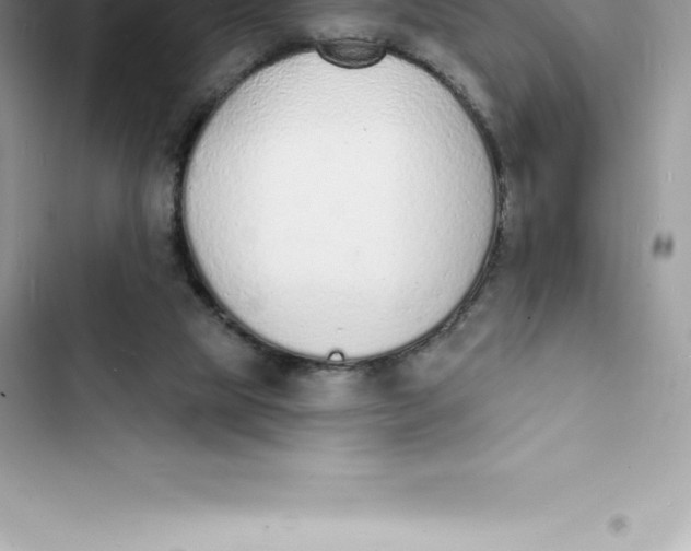 X0000103300065200809191904