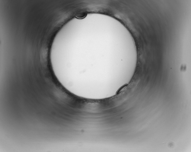 X0000103300066200809191904