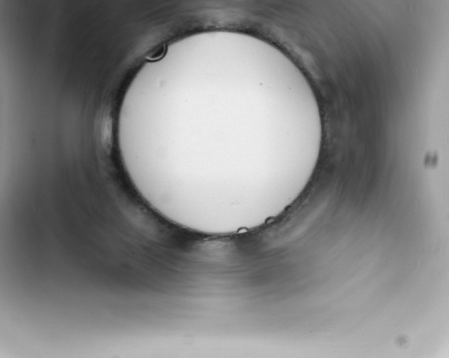 X0000103300067200809191904