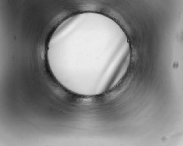 X0000103300068200809191904