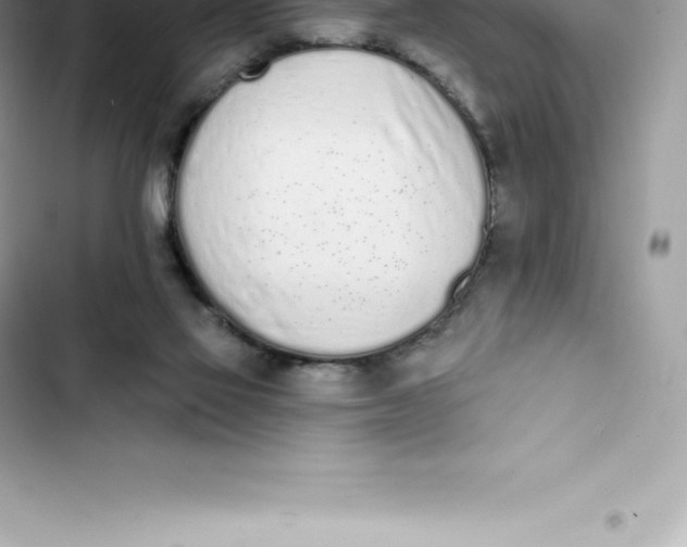 X0000103300069200809191904