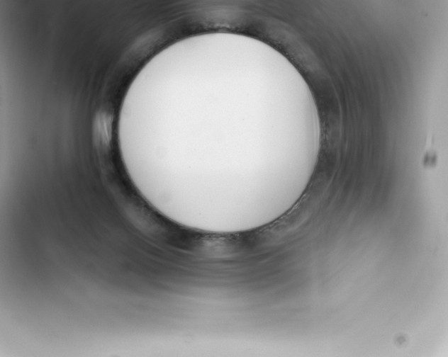 X0000103300070200809191904