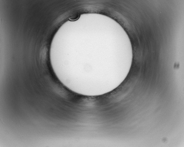 X0000103300071200809191904