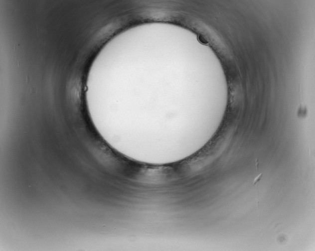 X0000103300072200809191904