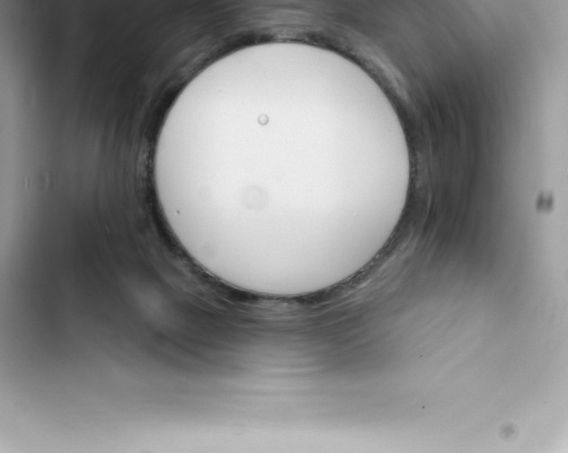 X0000103300073200809191904