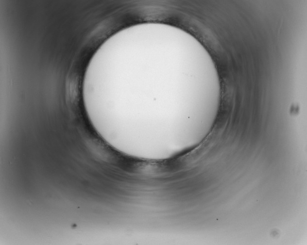 X0000103300074200809191904