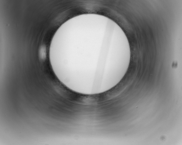 X0000103300075200809191904