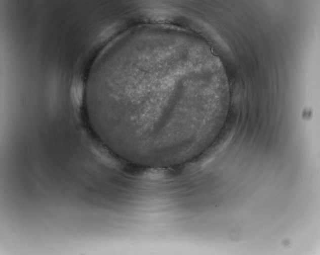 X0000103300076200809191904