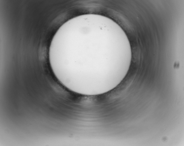 X0000103300077200809191904