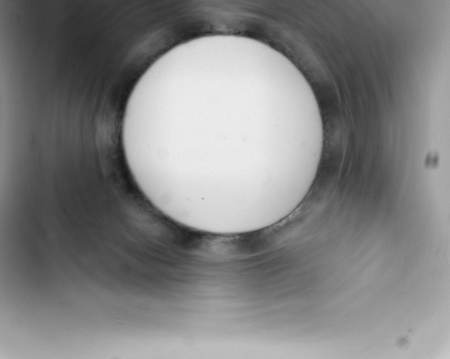 X0000103300078200809191904