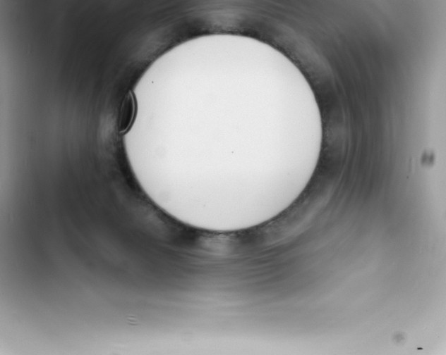 X0000103300079200809191904