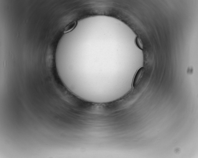 X0000103300080200809191904