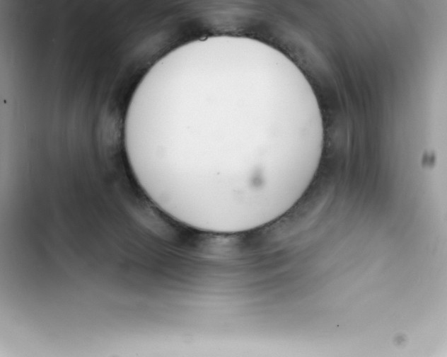 X0000103300081200809191904