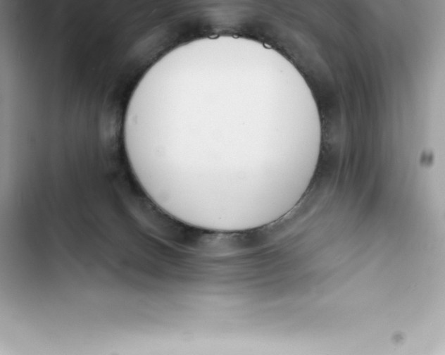 X0000103300082200809191904