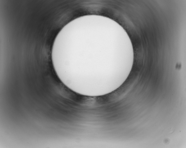 X0000103300083200809191904