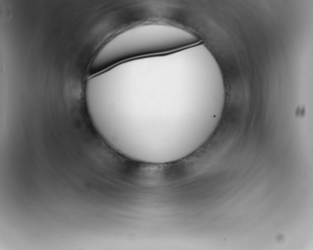 X0000103300084200809191904