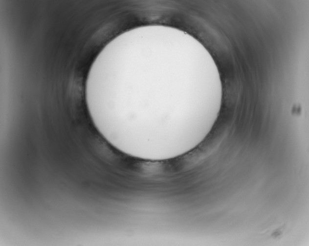 X0000103300085200809191904