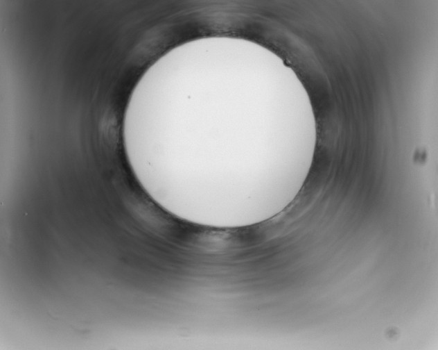 X0000103300086200809191904