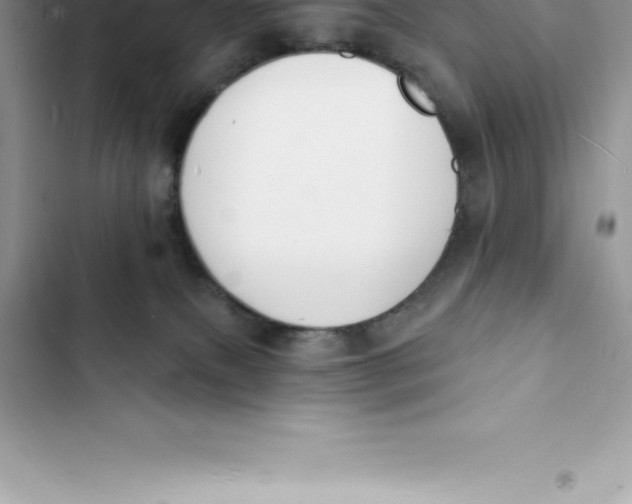 X0000103300087200809191904