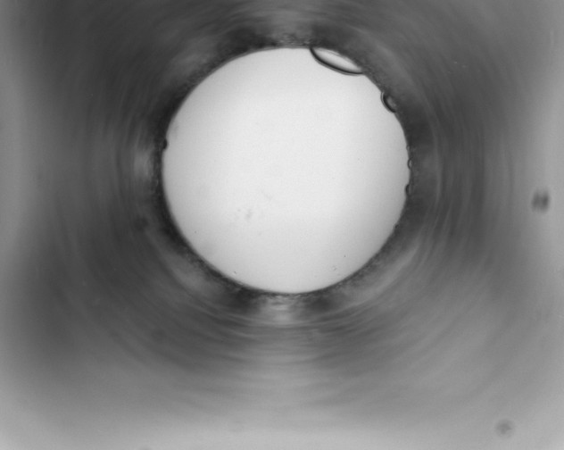 X0000103300088200809191904