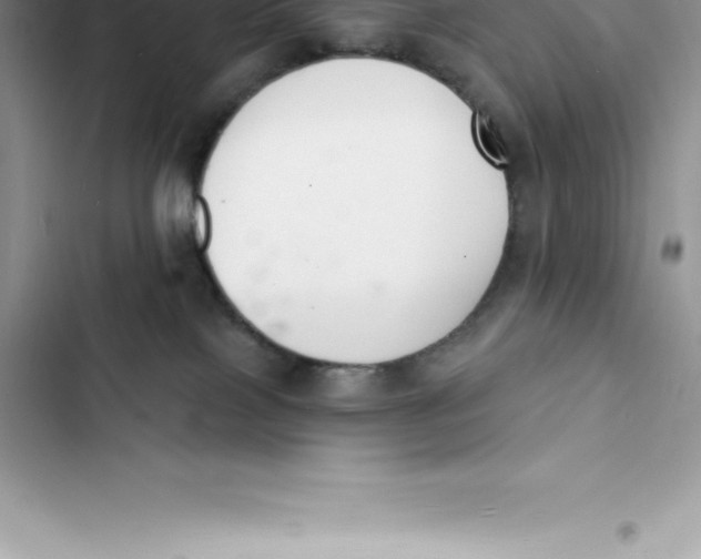 X0000103300089200809191904