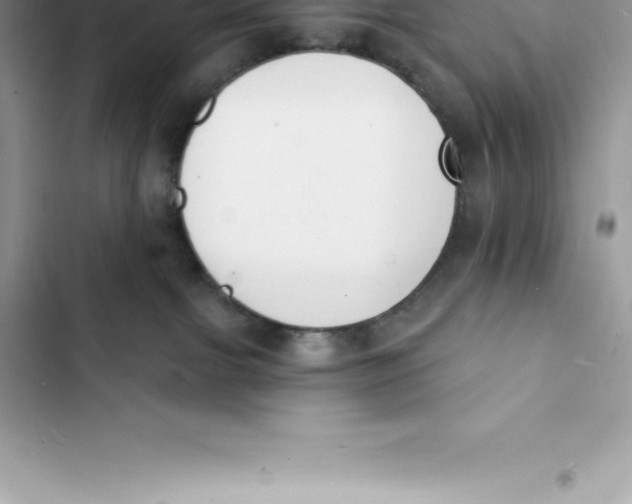 X0000103300091200809191904