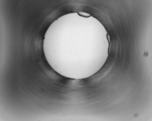 X0000103300092200809191904